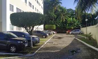 Imagem 3: Vendo Apartamento em Tejipio - Bosque das Palmeiras