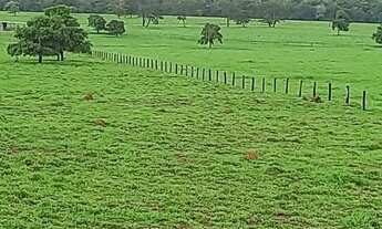 Imagem 6: Linda fazenda em Nova xavantina MT