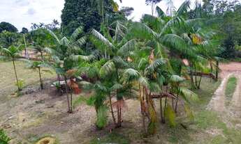 Imagem 6: Lindo Sítio na AM010