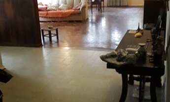 Imagem 4: CASA TÉRREA - VILA CLEMENTINO - SP