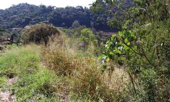 Imagem 5: Corrêas, terreno em ótima localização
