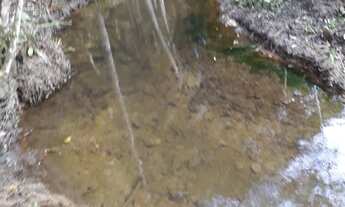 Imagem 4: Chácara Juquitiba- Miracatu