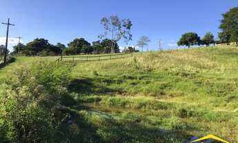 Imagem 4: Fazenda/Sítio/Chácara para venda possui 20000 metros quadrados em Lomba Grande - Novo Hamb
