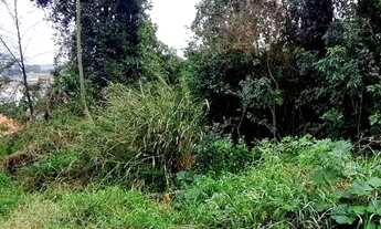 Imagem 4: Terreno - Monte Verde - Florianópolis
