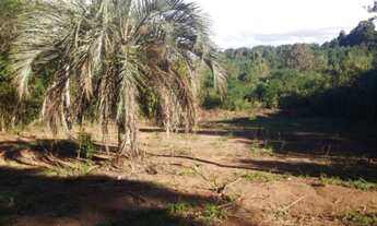Imagem: Porto Alegre - Terreno Padrão - Belém