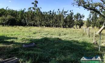 Imagem 6: Sítio em Águas claras 3 hectares somente 4 km do asfalto