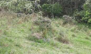 Imagem 5: 1 alqueires de terra