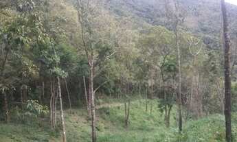 Imagem 6: Vende-se 20 alqueires de Terra um pedaço do Paraiso na terra