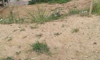 Imagem 3: TERRENO - RESIDENCIAL PARQUE DOS PINHEIROS - SP