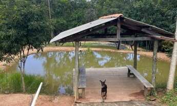 Imagem 3: Vendo chácara em bela vista