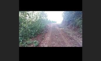 Imagem 3: Excelente área de terra..