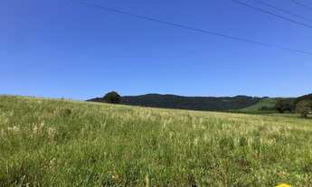 Imagem 3: Fazenda/Sítio/Chácara para venda com 20000 metros quadrados em Lomba Grande - Novo Hamburg