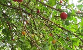 Imagem 5: Encantadora casa na VIla Suzana!!!