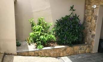 Imagem 3: Casa para locação na Vila Georgina, Campinas