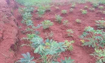 Imagem 2: Chácara Residencial Terra Bela..