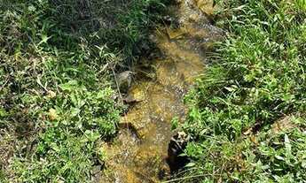 Imagem 7: Chácara com 4 lagos - 20.000 m²