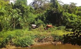 Imagem: Sitio em tingua