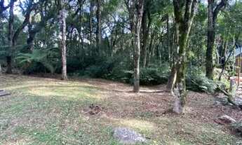 Imagem 6: Gramado - Terreno Padrão - Mato Queimado