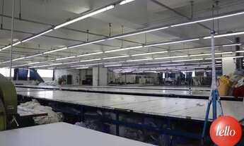 Imagem 5: São Paulo - Prédio Inteiro - Brás