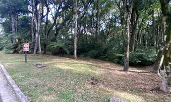 Imagem 5: Gramado - Terreno Padrão - Mato Queimado