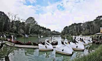 Imagem 7: Gramado - Terreno Padrão - Planalto