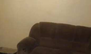 Imagem 5: Alugo uma casa Casa com 2 dormitórios