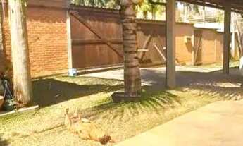 Imagem 5: Linda casa em Paraíba do Sul RJ