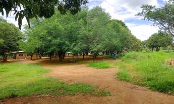 Imagem 3: Sítio chácara fazendinha Planaltina DF