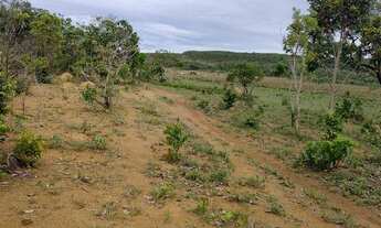Imagem 3: Fazenda Cavalcante Goiás