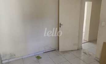 Imagem 7: São Paulo - Casa Padrão - Tucuruvi