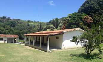 Imagem 3: Grande oportunidade - chacara com 4000 metros quadrados