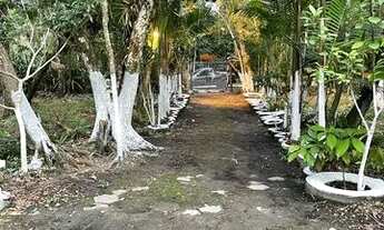 Imagem 3: CHÁCARA COM CHURRASQUEIRA E LAGO EM ITANHAÉM