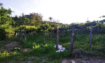 Imagem 7: Sítio com 3 dormitórios à venda, 40000 m² por R$ 750.000,00 - Bom Retiro - Porto Feliz/SP