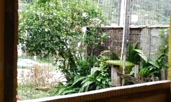 Imagem 5: Alugo ou Vendo casa em Ubatuba com 5 comodos