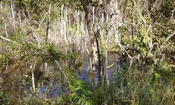 Imagem 2: 2.123mts com 2 águas muito barato
