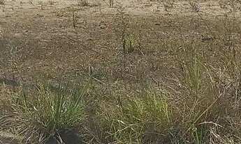 Imagem: Terreno a venda