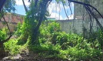 Imagem 3: Lote Dias d' Ávila *(Aceito Cartão