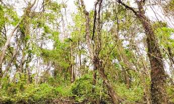 Imagem 1: Terreno a venda Vale das Videiras