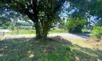 Imagem 5: Gramado - Sítio - Serra Grande