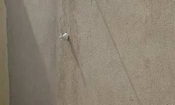 Imagem 4: Vendo casa itaitinga