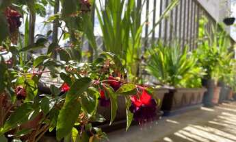 Imagem 3: Apartamento para venda tem 290 metros quadrados com 4 quartos em Jardim Paulista - São Pau