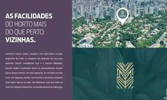 Imagem 3: Cedro Horto Florestal