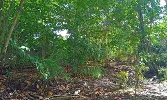 Imagem 2: Lote Dias d' Ávila *(Aceito Cartão