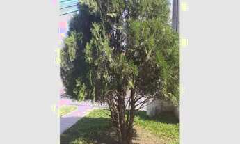 Imagem 3: Casa à venda ou locção no condomínio Quinta dos bandeirantes com dois dormitórios, Cozinha