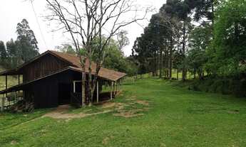 Imagem 5: Sítio, Ribeirão Branco