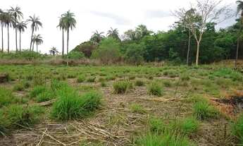 Imagem 5: Terreno 13.000 m², agua nos fundos, poço de peixe, fogão a lenha, terra ideal pra plantio