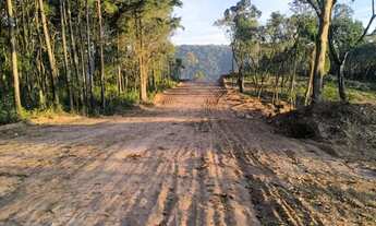 Imagem 5: Terreno Espaçoso Próximo à Castelo Branco