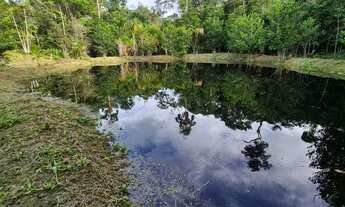 Imagem 3: Presidente Figueiredo