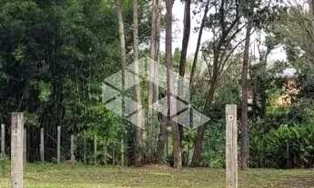 Imagem 3: Terreno grande, plano, elevado e bem cuidado no Juriti