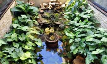 Imagem 4: Casa 3 quartos, sendo 3 suítes